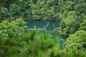 A river with a wooden dock and a bridge, surrounded by dense forest.