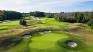A golf course with bunkers and trees. - Torch lake waterfront:100 ft of sandy beach, 3-bedroom, 3-bath cottage (Alden)