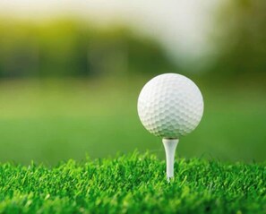 A golf ball on a tee on a green surface. - Themed Bedrooms, Movie Room & Firepit Yard (Westminster)
