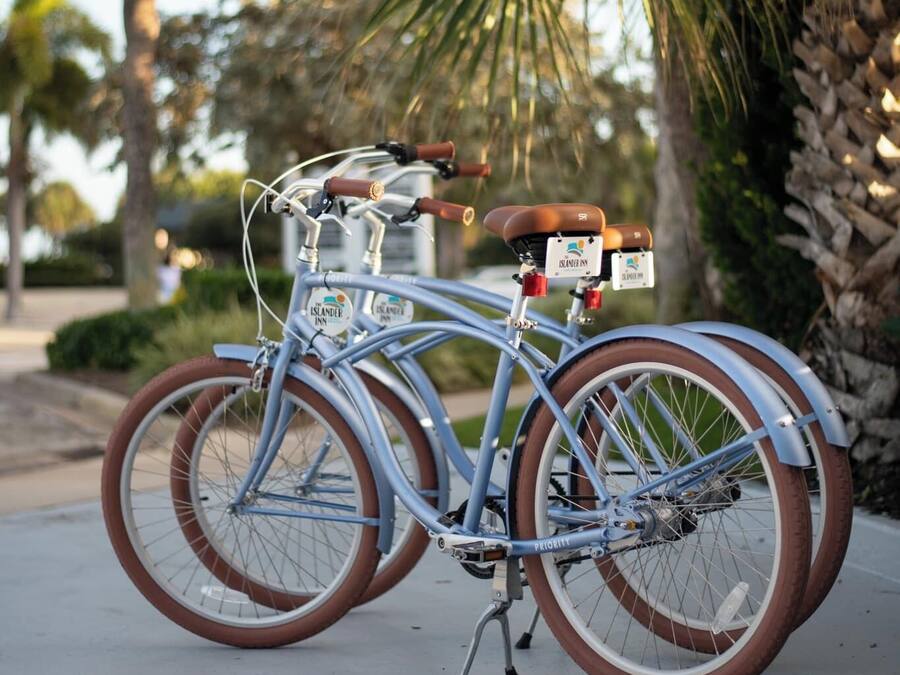 Ein Fahrrad mit braunem Sitz und Lenker, abgestellt auf befestigter Fläche, im Hintergrund Palmen.