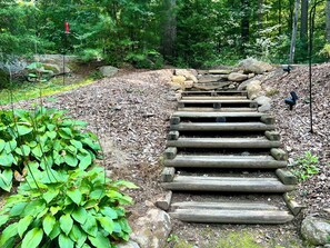 Eine Holztreppe in einem bewaldeten Gebiet, links eine Pflanze.
