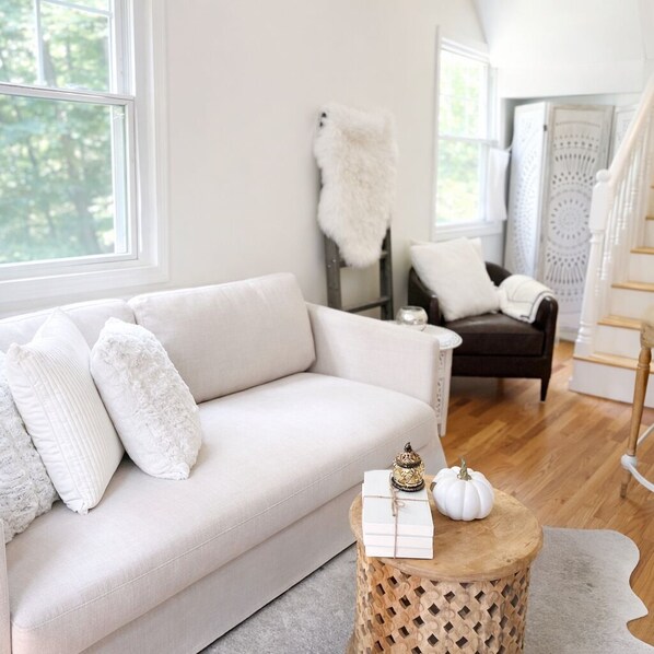 Smart TV, fireplace, books
