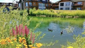 Ein Wohngebiet mit modernen Gebäuden, einem Teich und umliegender Bepflanzung.