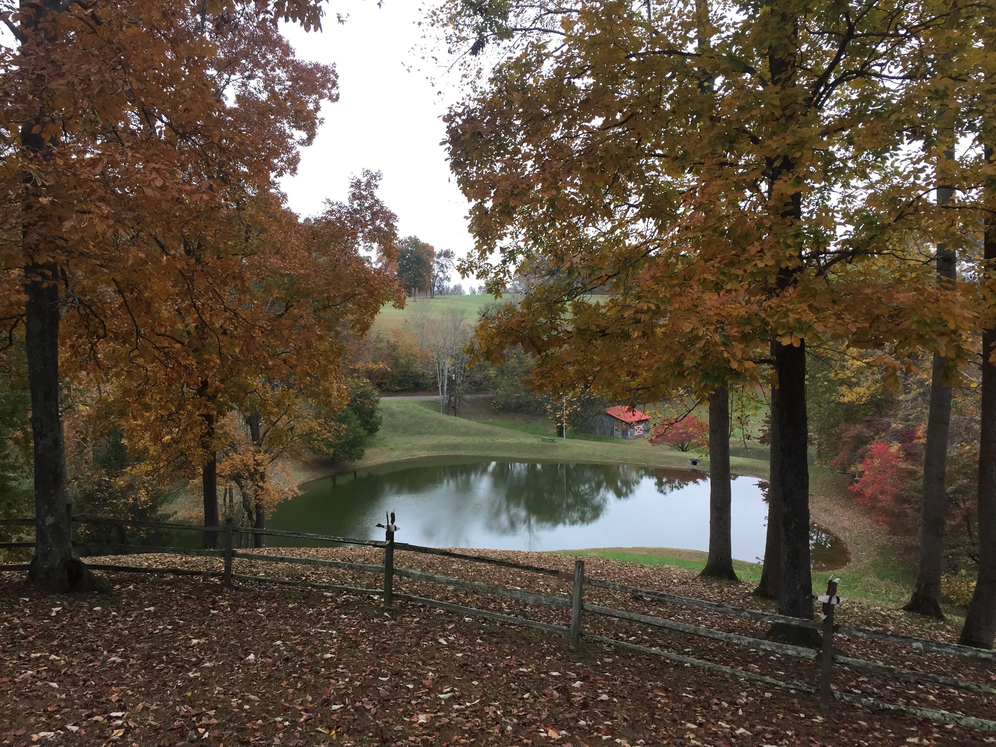 A serene park with a pond, surrounded by trees with autumn foliage, and a small building in the background.