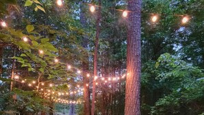 Sentiero nella foresta con luci a tenda e alberi.