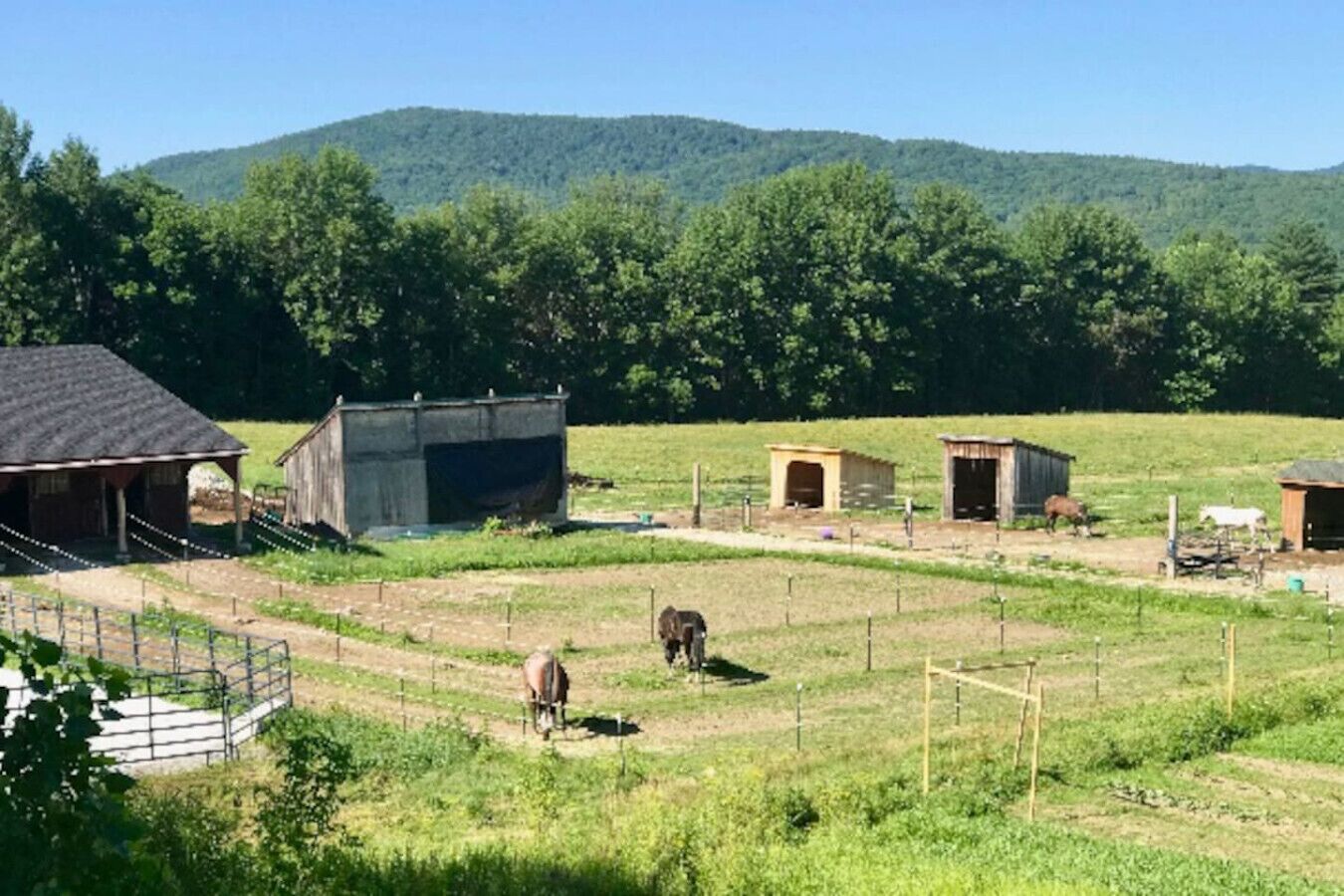 Een landelijke boerderij met schuren, omheinde weilanden en paarden.