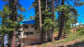 A two-story building surrounded by tall pine trees.