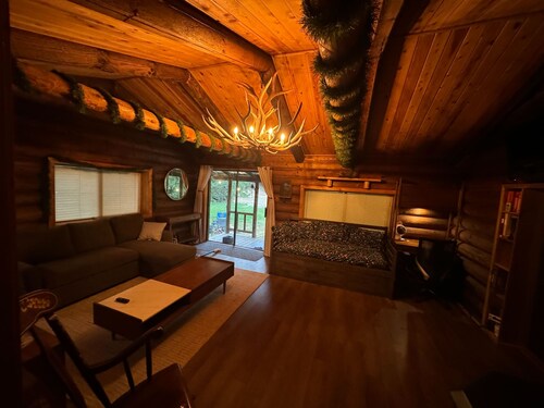 Beautiful custom built log cabin with AC, WiFi in private forest retreat