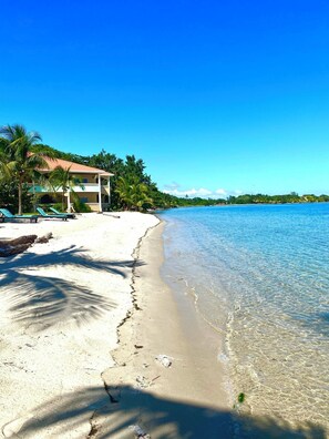 On the beach - Luxurious 2BR Beachfront shared Pool & Modern (Placencia)