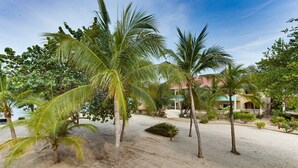 A sandy beach area with palm trees and a building with a red roof. - Luxurious 2BR Beachfront shared Pool & Modern (Placencia)