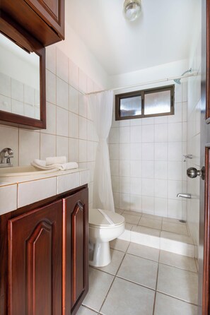 Shower, hair dryer, towels, soap - Two Coco Queens: Bedroom with Loft, Two Queen Beds (Coco)