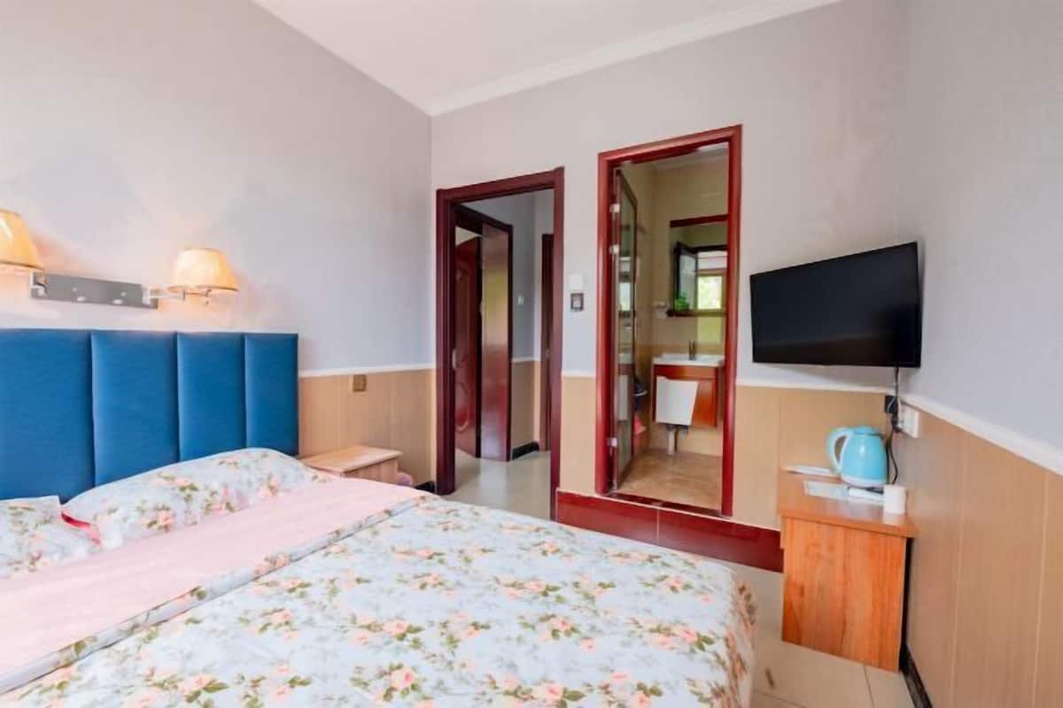 A bedroom with a bed, bedside lamps, a TV, and a mirror.