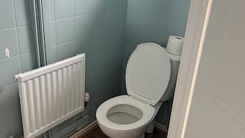 Hair dryer, towels, toilet paper