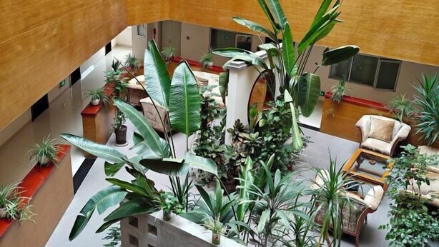 A spacious lobby with multiple seating areas, a central plant arrangement, and a high ceiling. - Lifeng Hotel (Zhaoping)