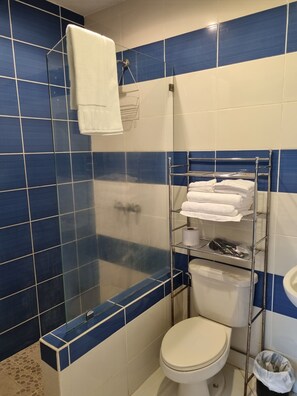 Secador de cabelo, toalhas de banho, sabonete, papel higiênico