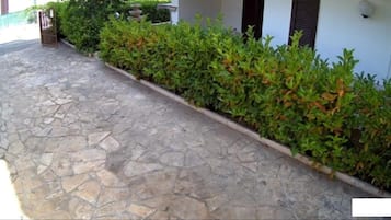 Detalle del exterior