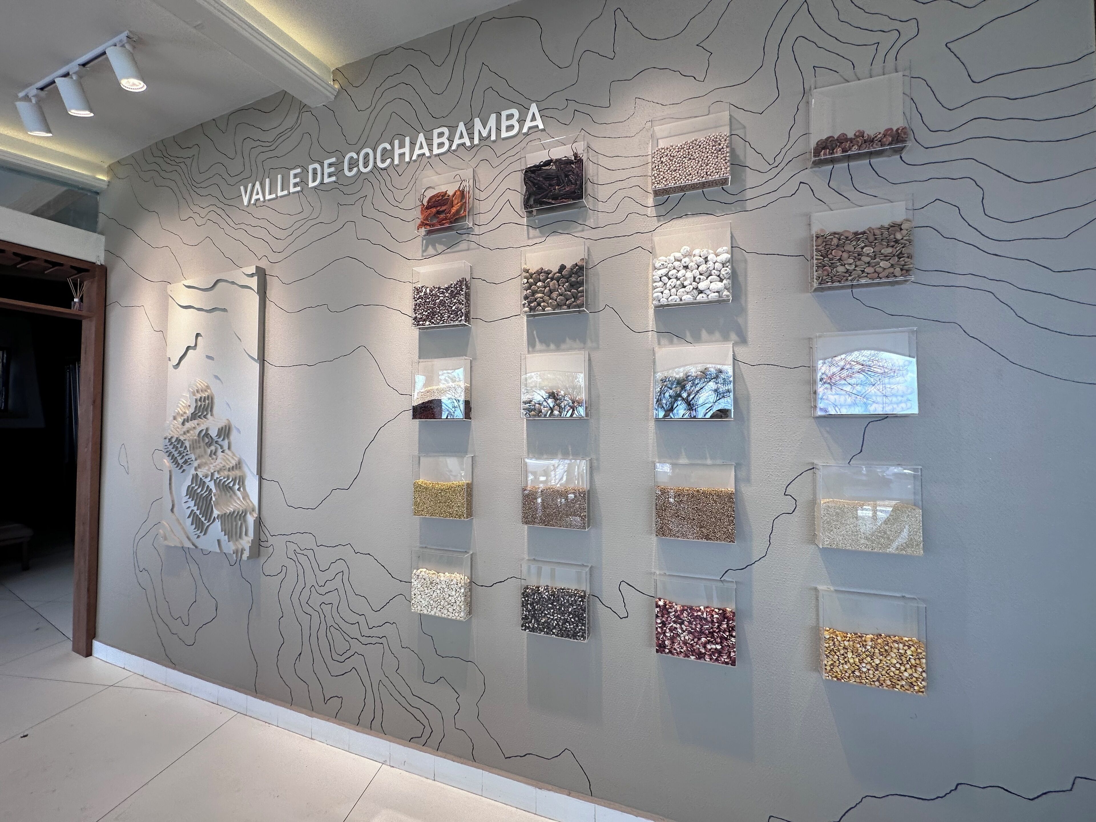 A wall with labeled sections displaying various grains and seeds, indicating a focus on natural or organic products.