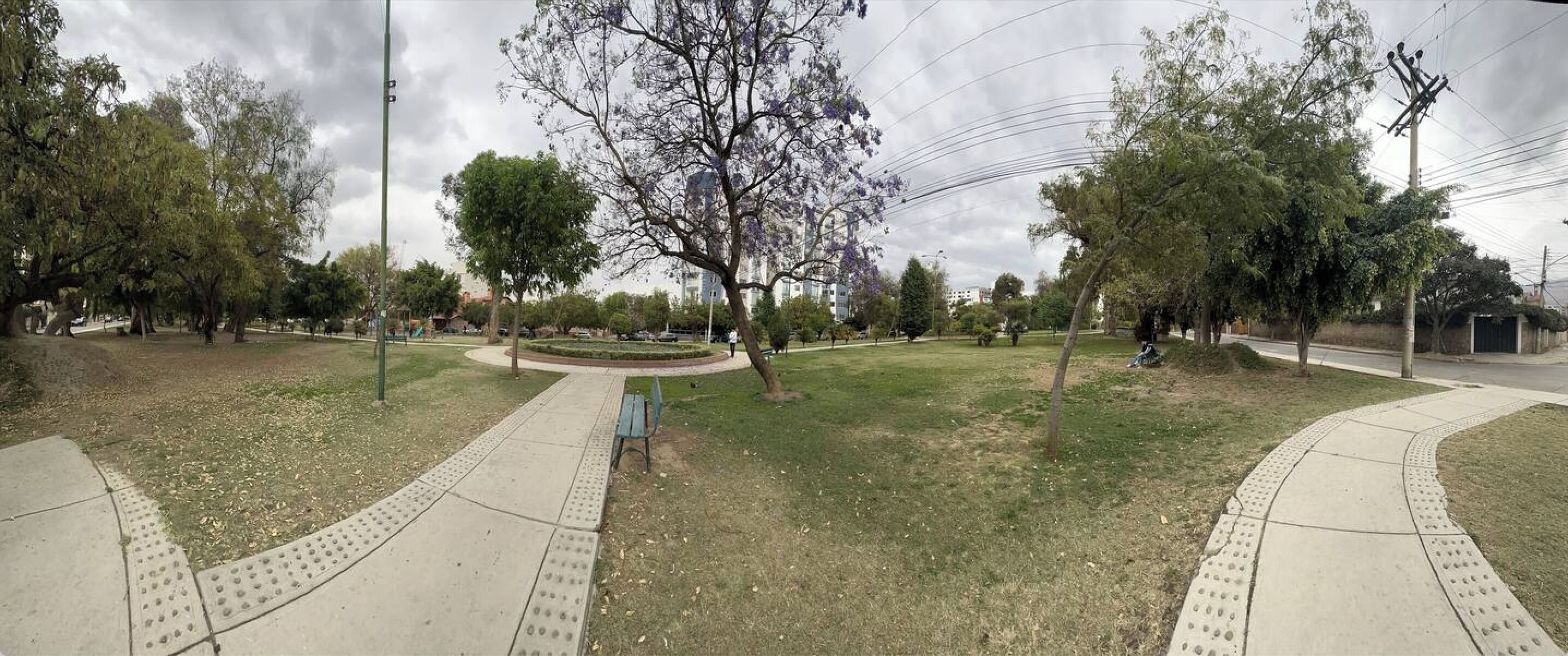 Un parc avec un chemin pavé, des arbres et un banc.