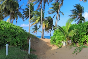 On the beach, sun loungers, beach towels