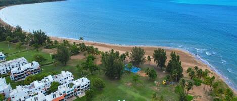 On the beach, sun loungers, beach towels