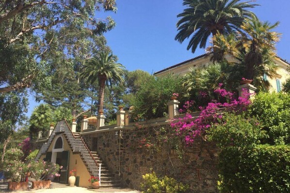 A stone building with a staircase, surrounded by lush greenery and palm trees.