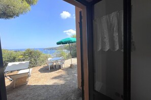 Unclassified image, 5 of 17, button