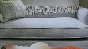 A room with a window, a sofa, and a patterned rug. - Bluebird Cottage: Near 151 + Appalachian Trail (Roseland)
