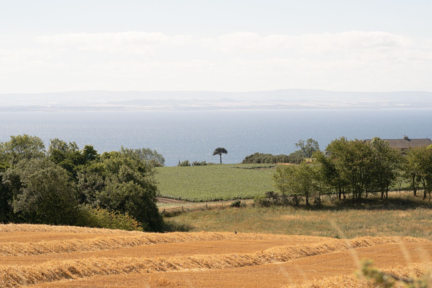 A coastal landscape with fields, trees, and a distant view of the sea.