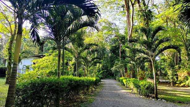 Interior - Hotel Nature Lodge (Cahuita)