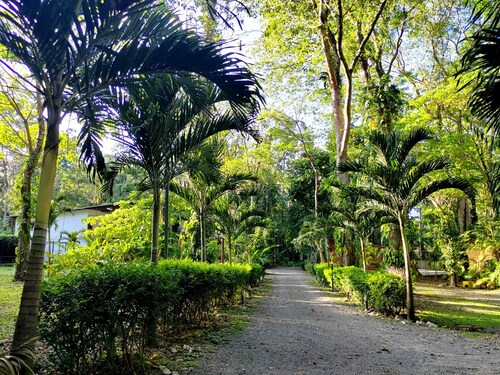Hotel Nature Lodge