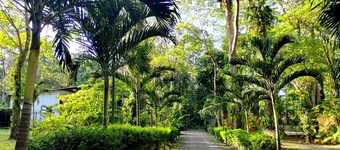 Hotel Nature Lodge