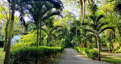 Hotel Nature Lodge