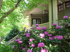 Property grounds - Big Sigh | Cheshire Village Townhome 5 Min. to Town! (Black Mountain)