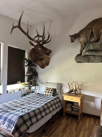 3 bedrooms, in-room safe, iron/ironing board, bed sheets. Vacation Hideaway Cabin in the mountains!