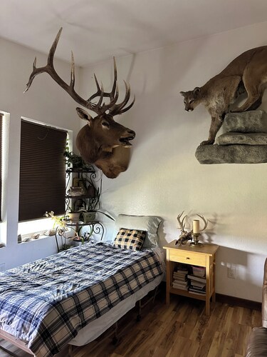 Vacation Hideaway Cabin in the mountains!