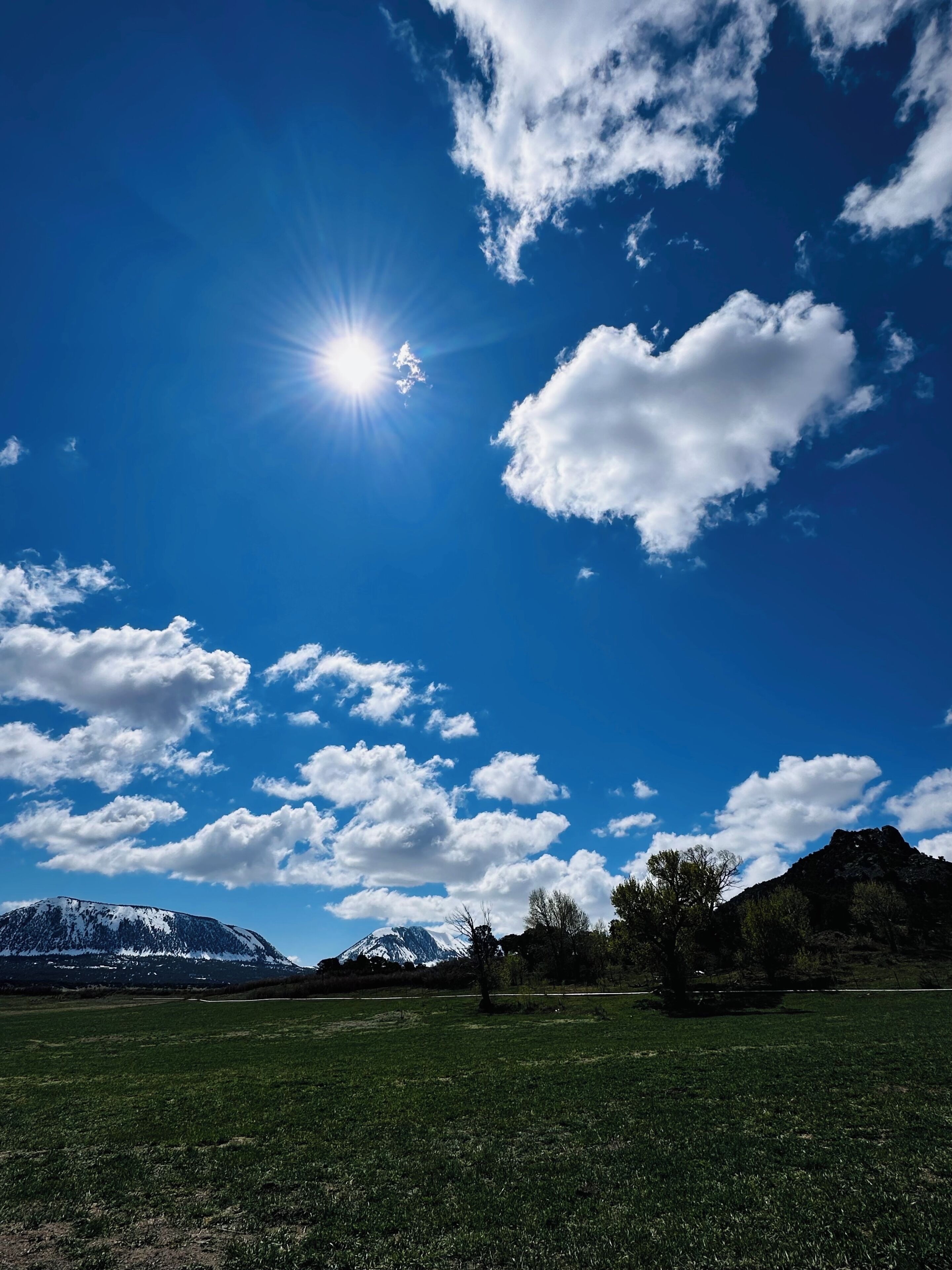 A clear blue sky with the sun shining, a grassy field, and a mountain range in the background.
