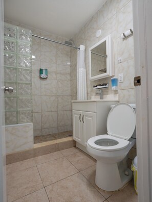 Secadora de cabello, toallas, jabón, papel de baño 