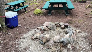 Ein bewaldeter Campingplatz mit Picknicktischen und einer Kühlbox.