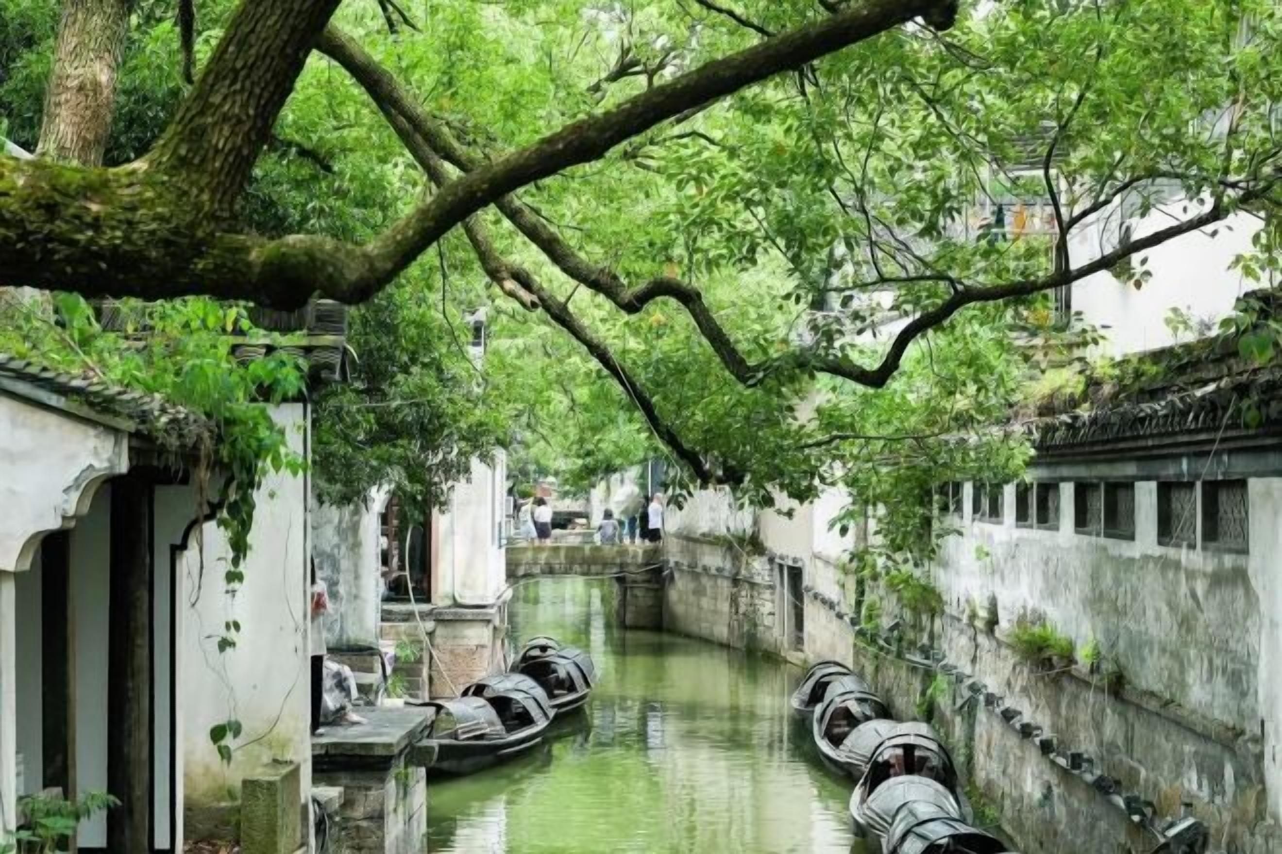 A narrow waterway with traditional boats, stone walls, and overhanging trees.