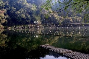 A wooden bridge over a calm lake surrounded by dense forest.