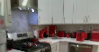 Charming house in Brooklyn with WiFi, AC for up to three people in living room