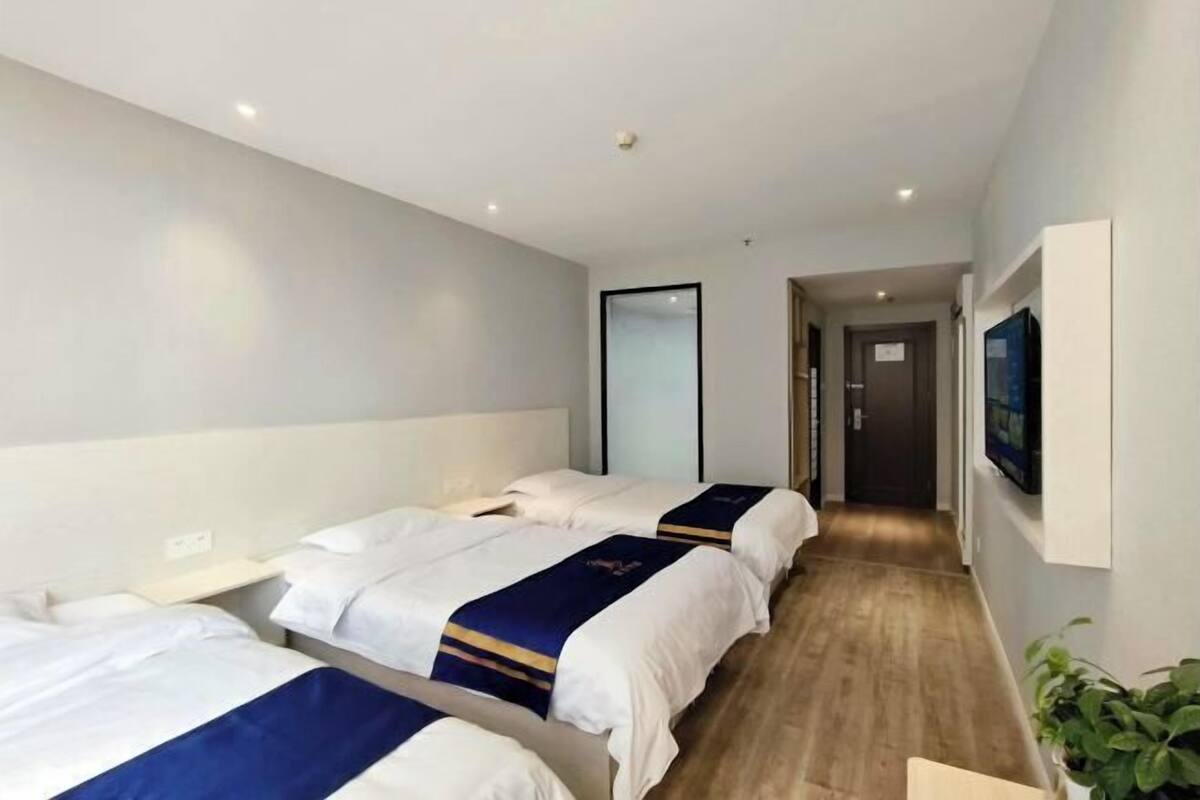 A hotel room with three beds, a TV, and a plant.