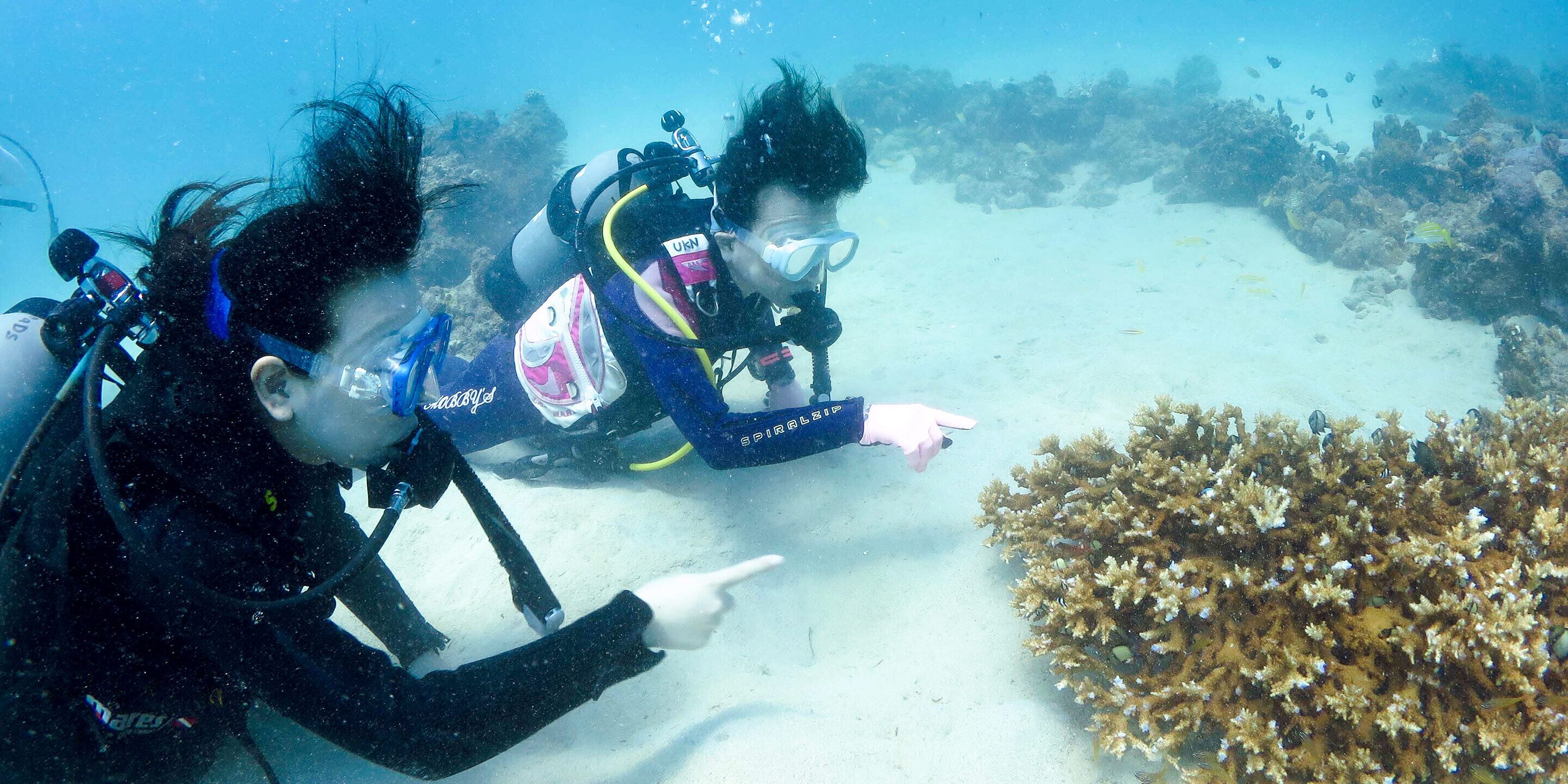 Dos buzos bajo el agua, señalando un arrecife de coral.