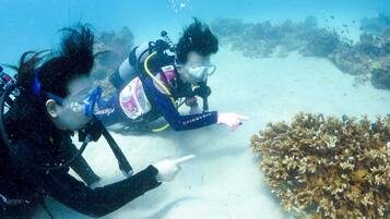 Dos buzos bajo el agua, señalando un arrecife de coral.