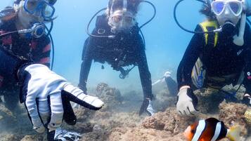 Three divers underwater with a marine fish nearby.