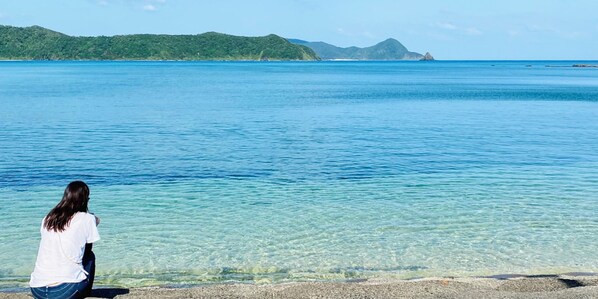 Vue sur la campagne depuis l’hébergement