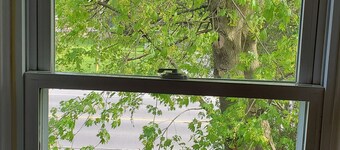 Feel the Country Vibe in this 4-bedroom Farmhouse Inn! Close to Kingston, PEC