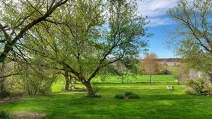 Un parc verdoyant et luxuriant, avec des arbres, une pelouse et un bâtiment visible au loin.