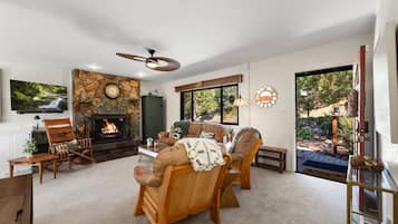 Smart TV, fireplace, books, music library