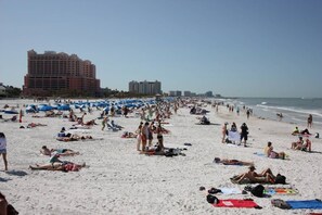 A crowded beach with numerous umbrellas and people sunbathing. - Waterfront w/Pool! FREE Activities! ~ 22 Bayside (Clearwater)